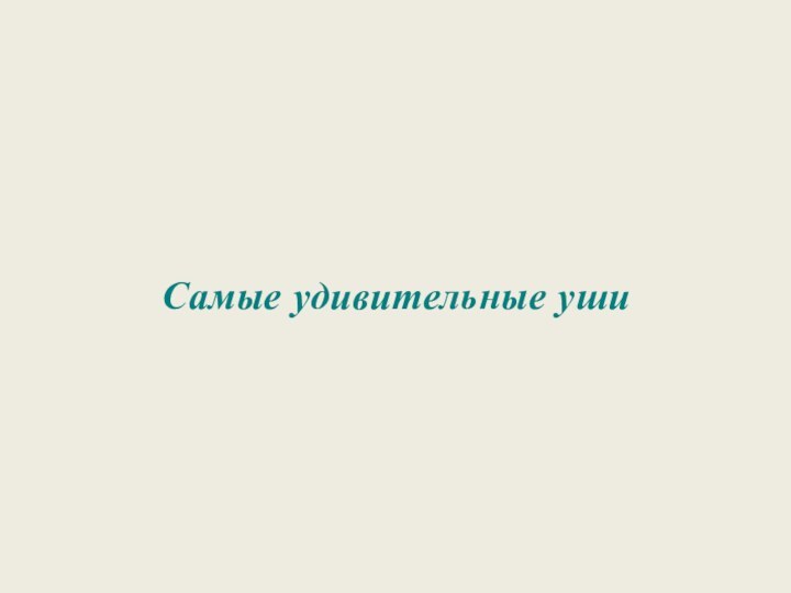 Самые удивительные уши