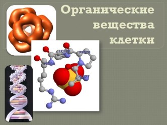 Органические вещества клетки