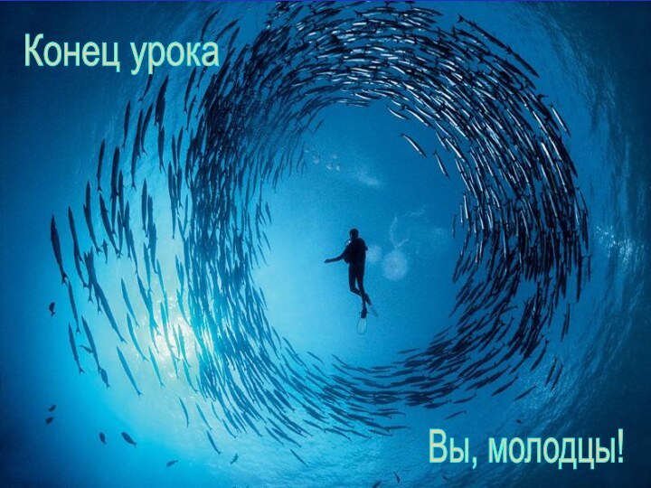 Конец урока Вы, молодцы!