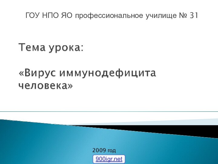 ГОУ НПО ЯО профессиональное училище № 312009 год