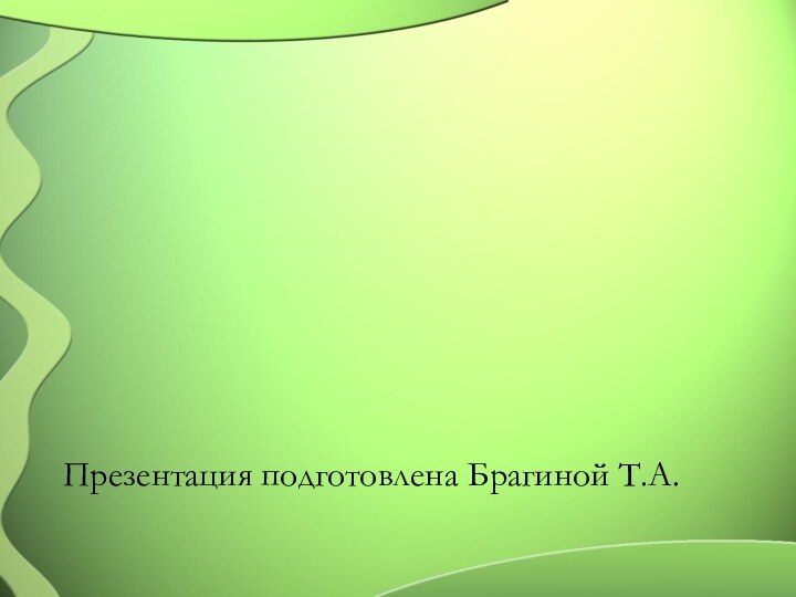 Презентация подготовлена Брагиной Т.А.