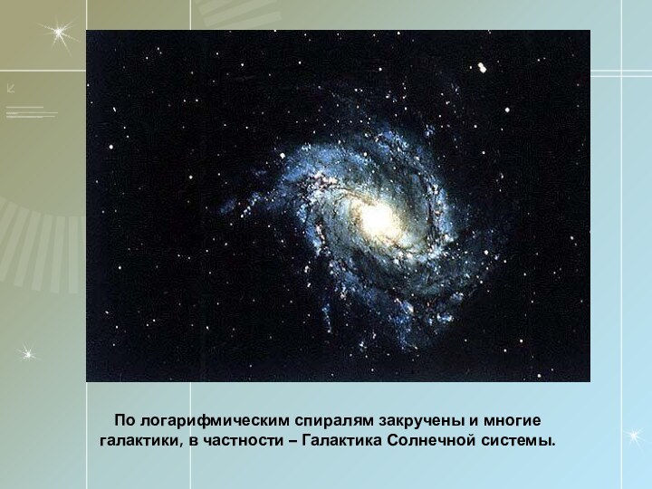 По логарифмическим спиралям закручены и многие галактики, в частности – Галактика Солнечной системы.