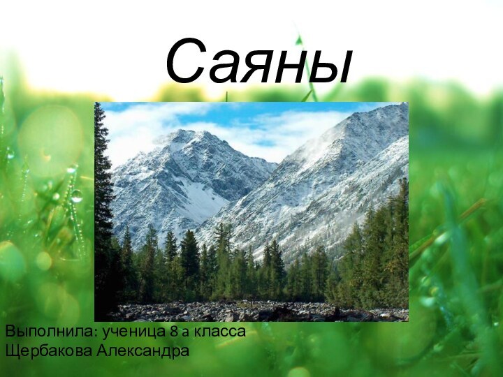 СаяныВыполнила: ученица 8 a класса Щербакова Александра