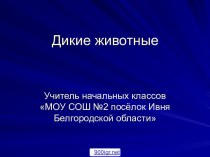 Информация о животных