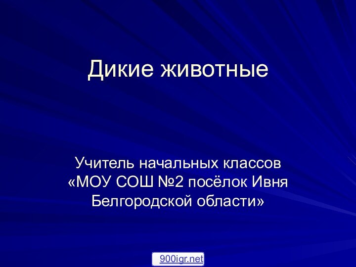 Дикие животныеУчитель начальных классов «МОУ СОШ №2 посёлок Ивня Белгородской области»