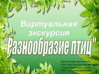 Разнообразие птиц