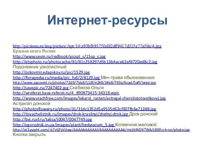 Интернет-ресурсыhttp://picstons.ru/img/picture/Apr/14/a93bfb9375fafd2d89417d315e77a50e/4.jpg Красная книга Россииhttp://www.sevin.ru/redbook/picspl_s/15sp_s.jpg http://etsphoto.ru/photocache/81/81c258297d5b13b4ace62ef8720ed8c2.jpg Подснежник узколистныйhttp://pskovmir.edapskov.ru/pic/1529.jpg http://florapedia.ru/media/pic_full/2/8129.jpg Меч-трава обыкновеннаяhttp://www.zapoved.ru/photos/72d9/7bb8/118f/e248/34b8/795b/6cad/5aff/large.jpghttp://savepic.ru/7247402.jpg Скабиоза Ольгиhttp://wreferat.baza-referat.ru/4_890873415-34318.wpic