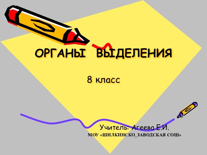 ОРГАНЫ ВЫДЕЛЕНИЯ  8 классУчитель: Агеева Е.И.МОУ «ШИЛКИНСКО_ЗАВОДСКАЯ СОШ»