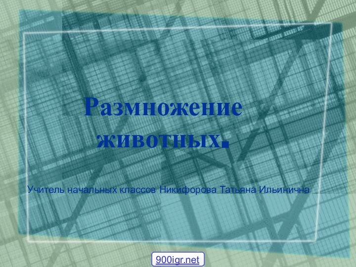 Размножение животных.Учитель начальных классов Никифорова Татьяна Ильинична