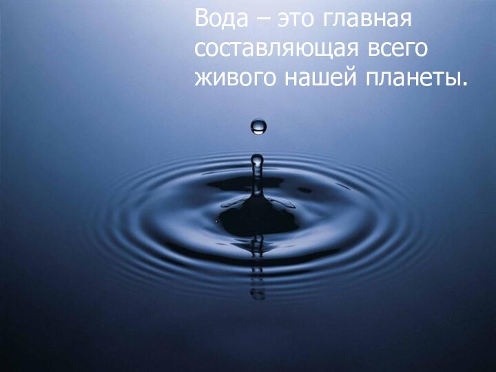 Вода – это главная составляющая всего живого нашей планеты.