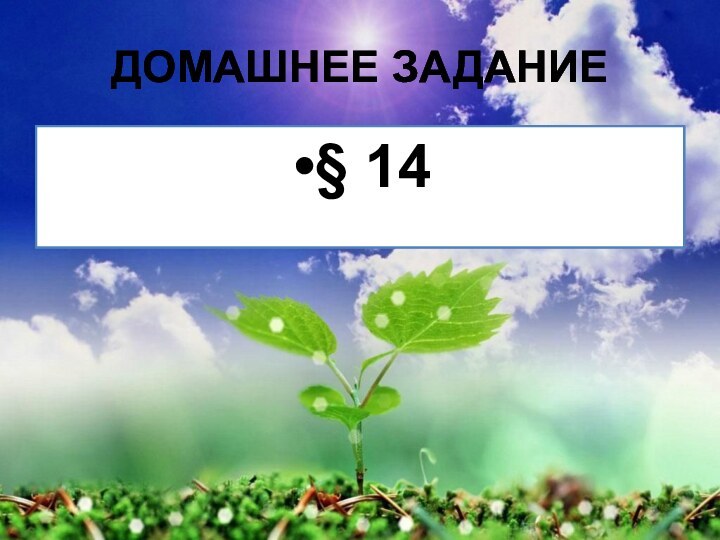 Домашнее задание§ 14