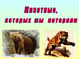 Животные, которых мы потеряли