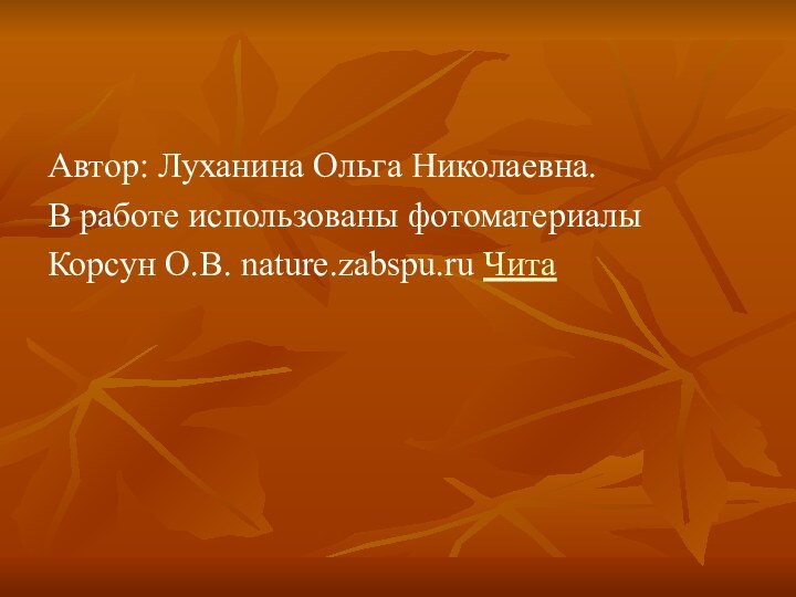 Автор: Луханина Ольга Николаевна.В работе использованы фотоматериалы Корсун О.В. nature.zabspu.ru Чита