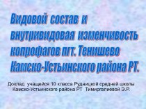 Видовой состав и внутривидовая изменчивость копрофагов пгт. Тенишево Камско-Устьинского района РТ