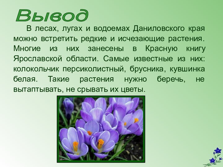 Вывод   В лесах, лугах и водоемах Даниловского края можно встретить