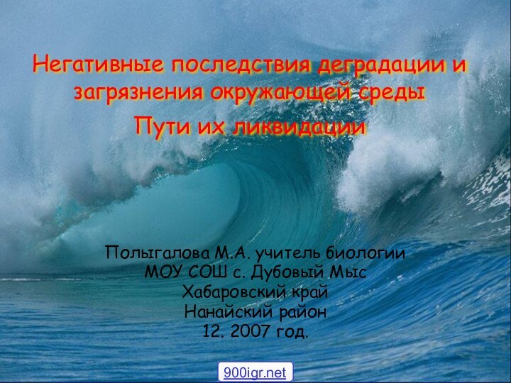 Негативные последствия деградации и загрязнения окружающей среды Пути их ликвидации  Полыгалова