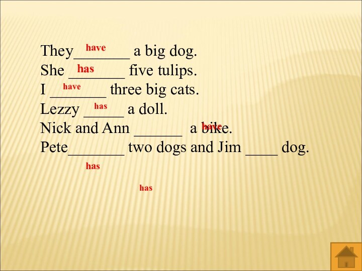 They_______ a big dog.She _______ five tulips.I _______ three big cats.Lezzy _____