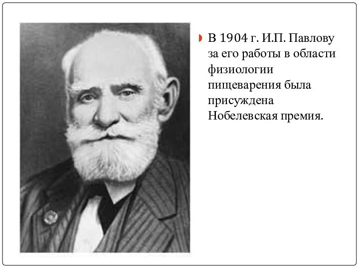 В 1904 г. И.П. Павлову за его работы в области физиологии пищеварения была присуждена Нобелевская премия.