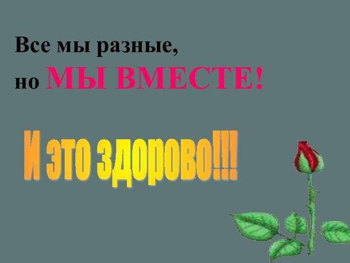 Все мы разные,  но МЫ ВМЕСТЕ!И это здорово!!!