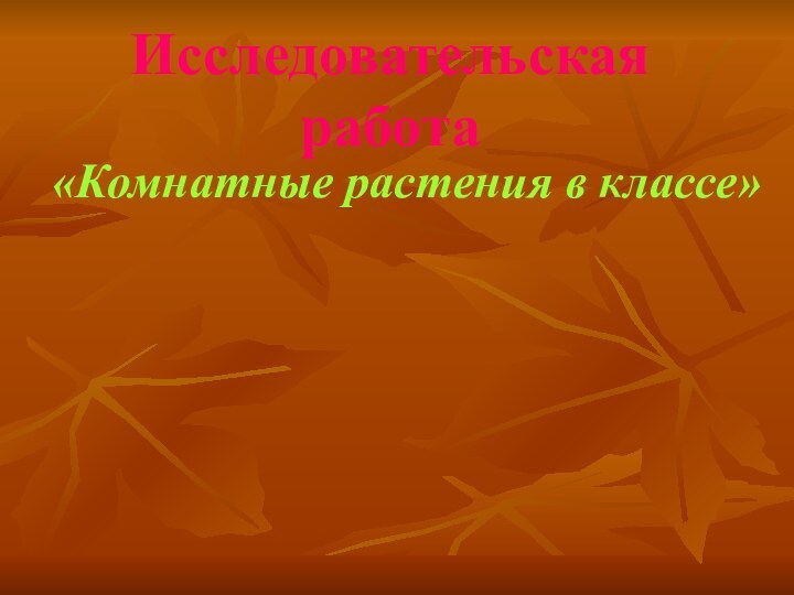 Исследовательская работа«Комнатные растения в классе»