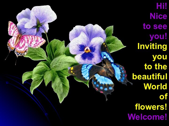 Hi!Nice to see you!Inviting you to the beautiful World of flowers!Welcome!