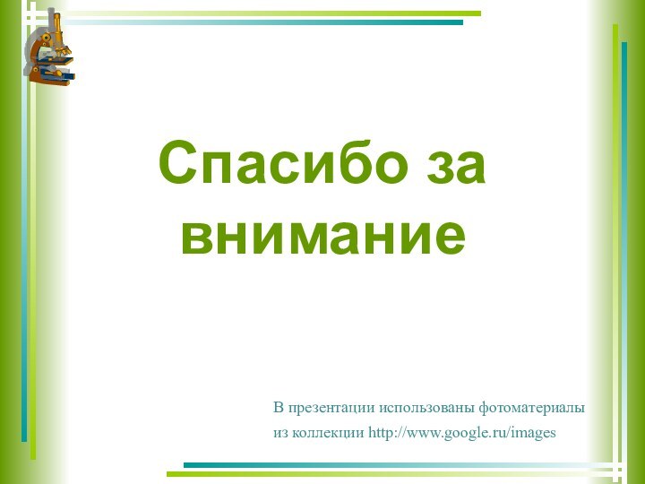 Спасибо за  вниманиеВ презентации использованы фотоматериалыиз коллекции http://www.google.ru/images