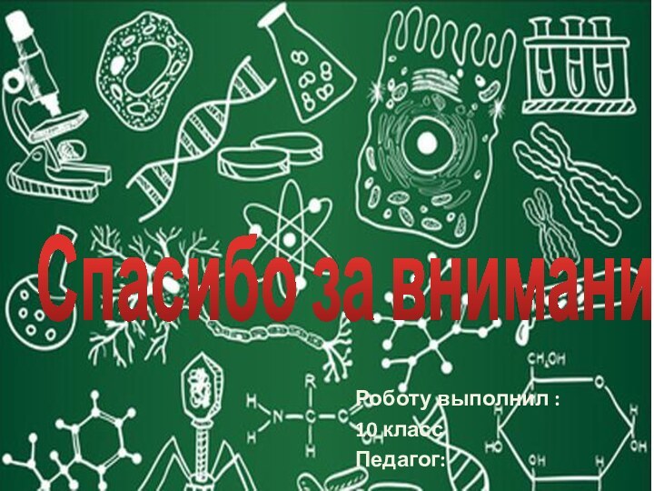 Спасибо за внимание!Роботу выполнил :10 классПедагог: