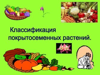 Классификация покрытосеменных растений