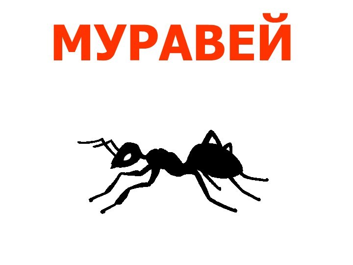 МУРАВЕЙ