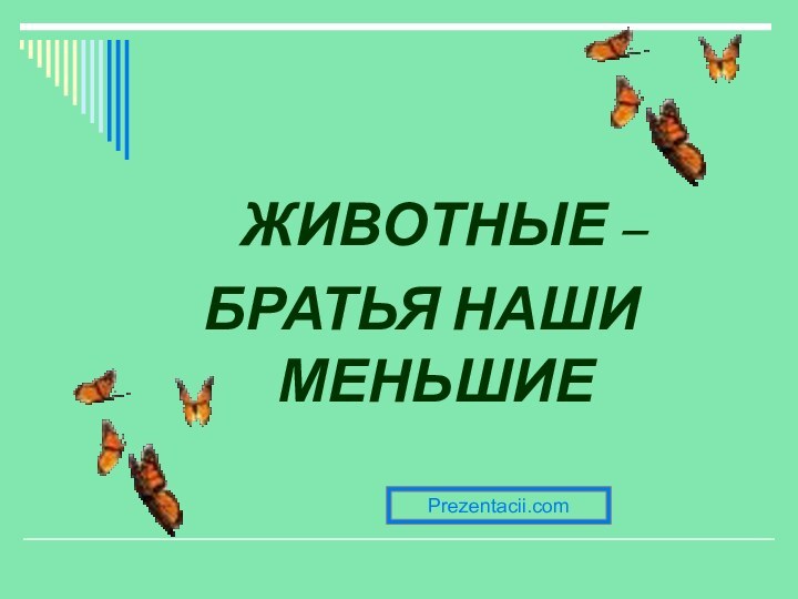 ЖИВОТНЫЕ –БРАТЬЯ НАШИ МЕНЬШИЕPrezentacii.com