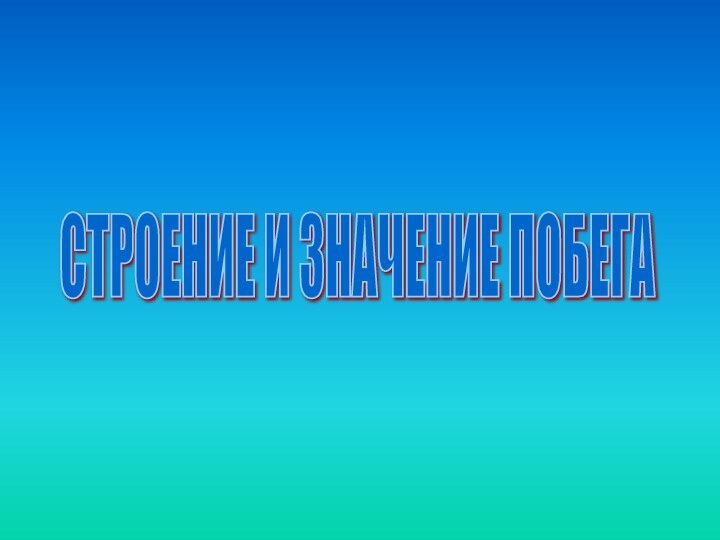 СТРОЕНИЕ И ЗНАЧЕНИЕ ПОБЕГА