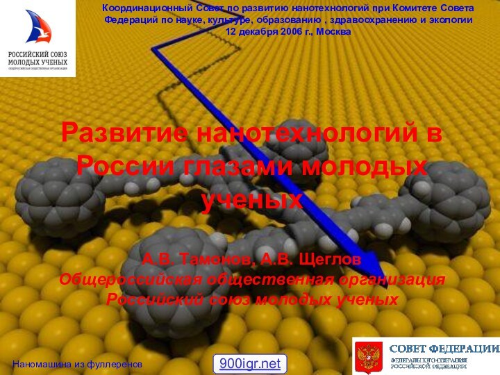 Развитие нанотехнологий в России глазами молодых ученых  А.В. Тамонов, А.В. Щеглов