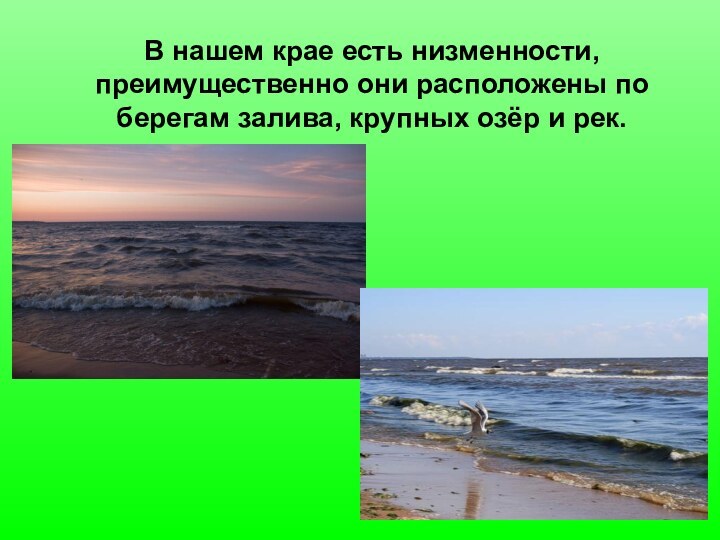 В нашем крае есть низменности, преимущественно они расположены по берегам залива, крупных озёр и рек.