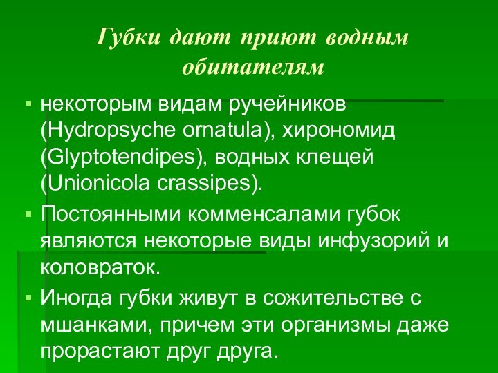 Губки дают приют водным обитателям некоторым видам ручейников (Hydropsyche ornatula), хирономид (Glyptotendipes),