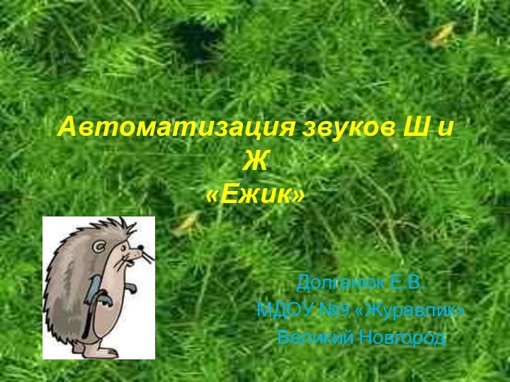 Автоматизация звуков Ш и Ж «Ежик»Долганюк Е.В.МДОУ №9 «Журавлик»Великий Новгород