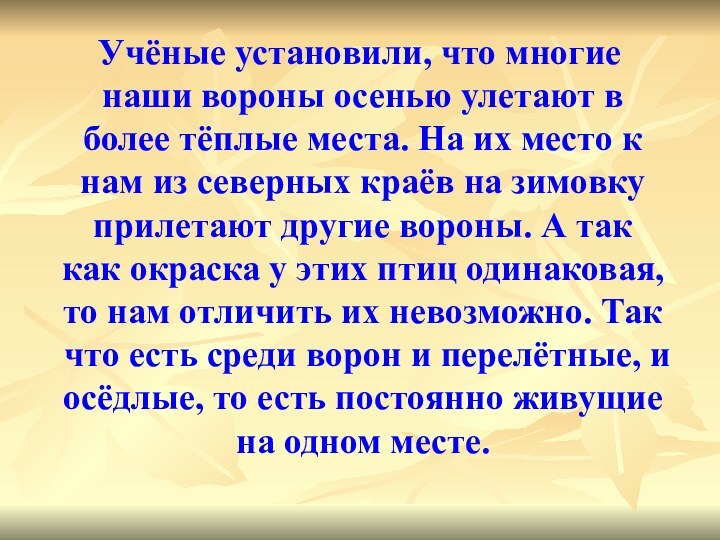 Учёные установили, что многие наши вороны осенью улетают в более