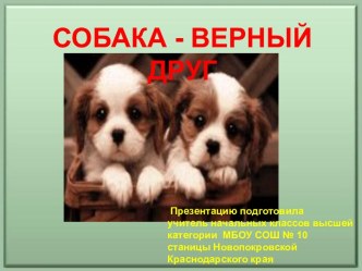 Собака - верный друг