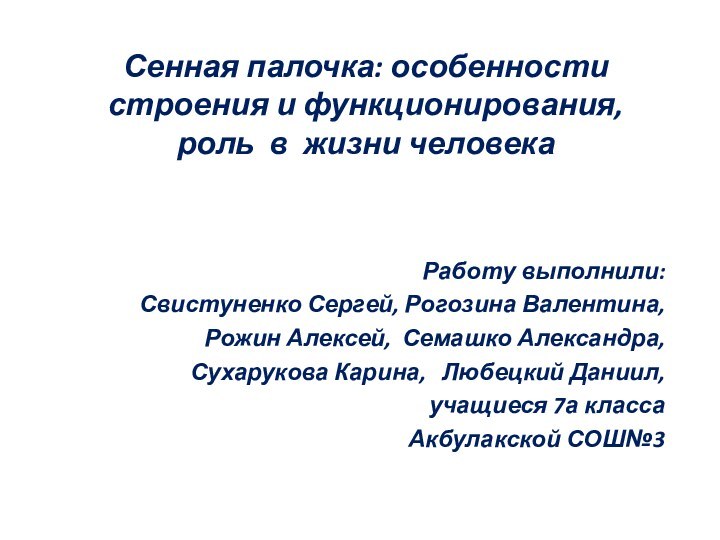 Сенная палочка: особенности строения и функционирования, роль в жизни человекаРаботу выполнили:Свистуненко Сергей,