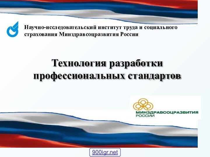 Научно-исследовательский институт труда и социального страхования Минздравсоцразвития РоссииТехнология разработки профессиональных стандартов