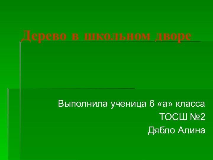 Дерево в школьном дворе Выполнила ученица 6 «а» классаТОСШ №2 Дябло Алина