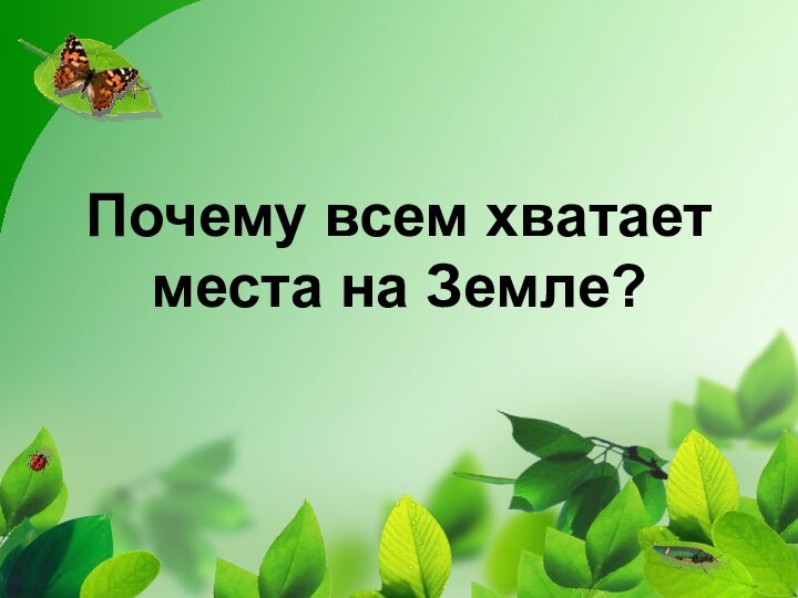 Почему всем хватает места на Земле?