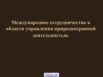 Международное сотрудничество России