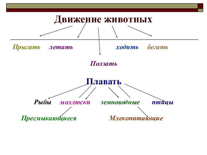 Движение животныхПрыгать   летать