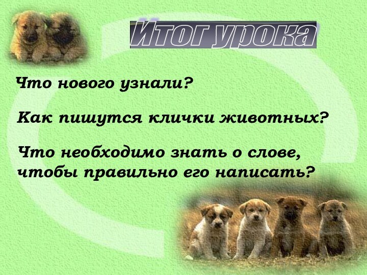 Итог урока Что нового узнали?Как пишутся клички животных?Что необходимо знать о слове, чтобы правильно его написать?