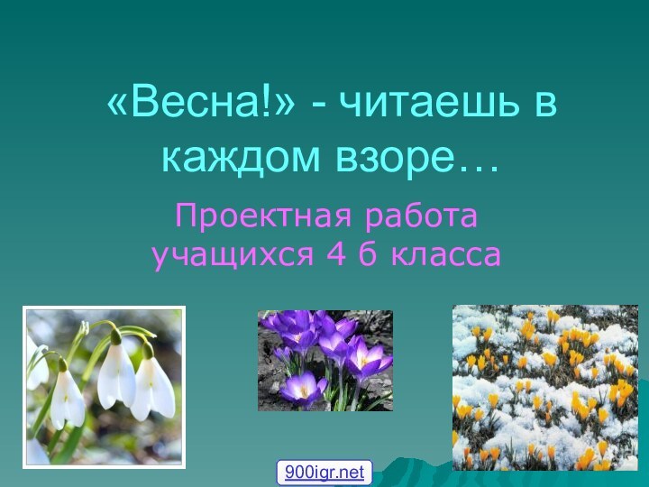 «Весна!» - читаешь в каждом взоре…Проектная работа учащихся 4 б класса