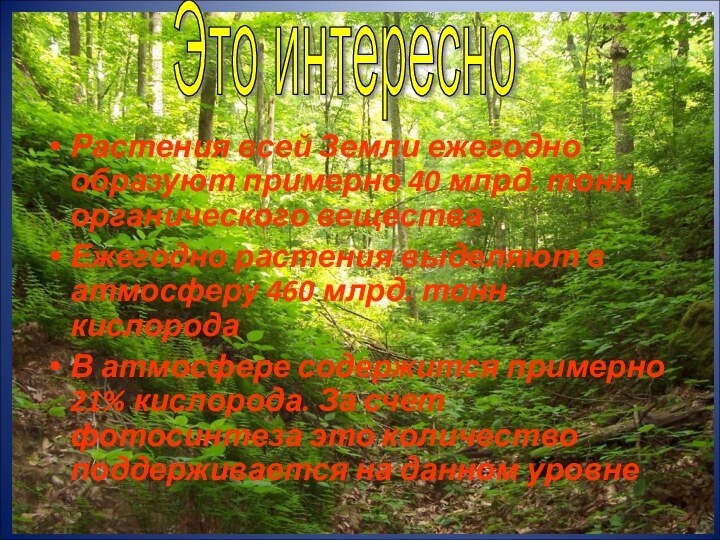 Растения всей Земли ежегодно образуют примерно 40 млрд. тонн органического веществаЕжегодно растения