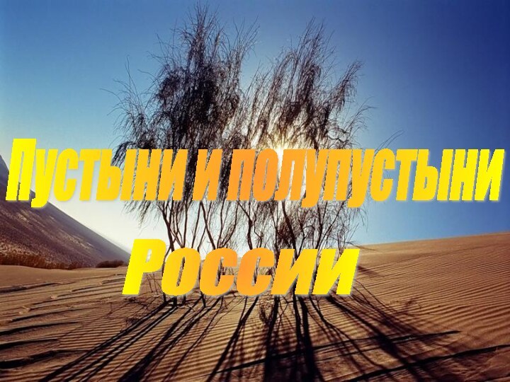 Пустыни и полупустыниРоссии