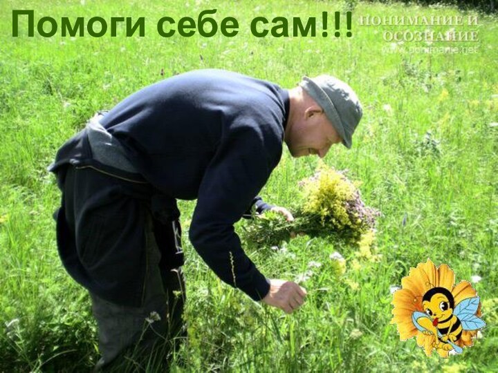 Помоги себе сам!!!