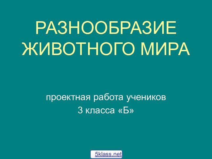 РАЗНООБРАЗИЕ ЖИВОТНОГО МИРАпроектная работа учеников 3 класса «Б»