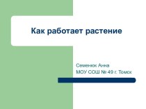 Как работает растение